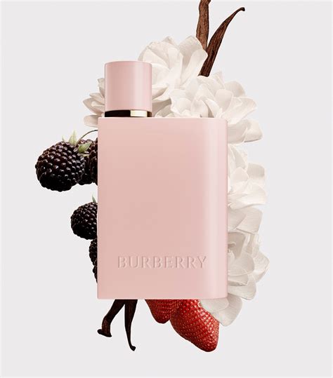 burberry her eau de parfum aliexpress|where to buy Burberry Her.